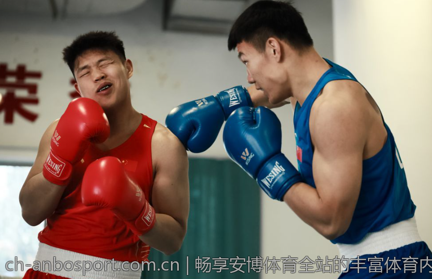 畅享安博体育全站的丰富体育内容