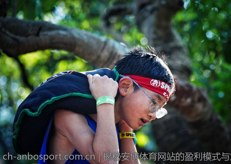 揭秘安博体育网站的盈利模式与发展前景
